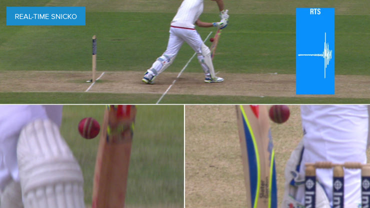 BBG Sports and Bluefish444