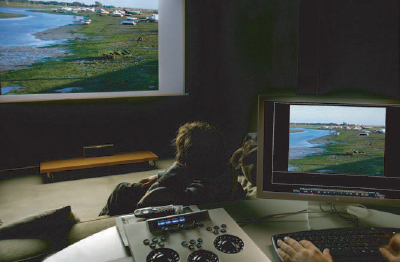 Assimilate SCRATCH. Bluefish444.