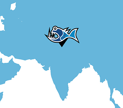 CDM Technologies and Solution, India