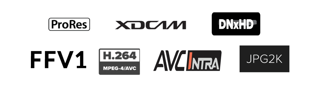 IngeSTore. Multiple codec options