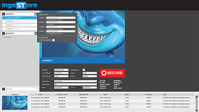IngeSTore NetAccess. Features of NetAccess.