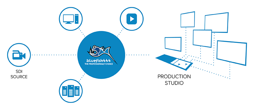 Bluefish444 Video Over IP Workflows