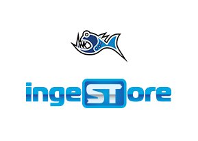 IngeSTore 2.0